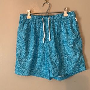 Penguin swim trunks